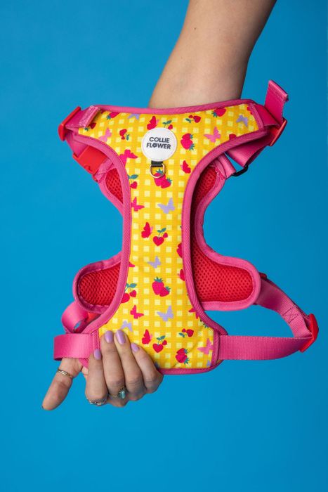 Strawberry Picnic Harness