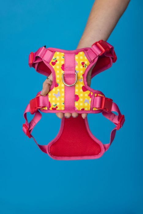 Strawberry Picnic Harness