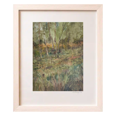 Stand of Birches