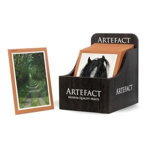 Artefacts Poster