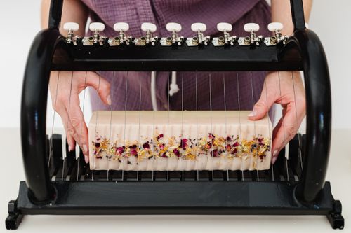 Beyond the Ferns Image 2