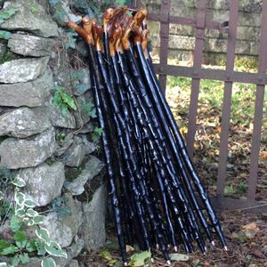 Blackthorn Walking Sticks