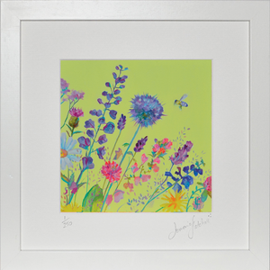 Bloom Collection