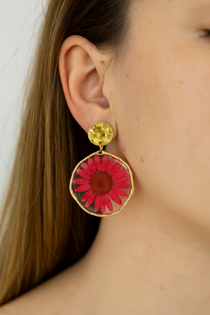 Blueberry Soul Image 3