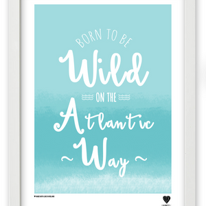 Born to be Wild Collection