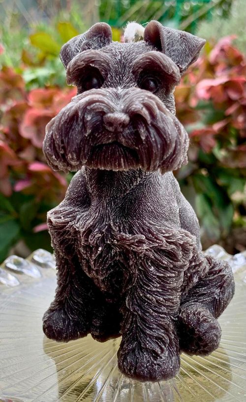 Schnauzer Candle