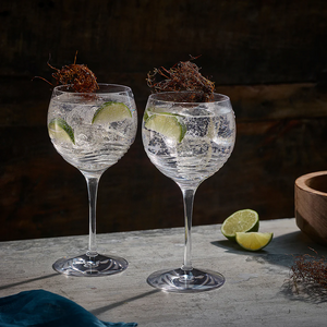 Gin Glasses