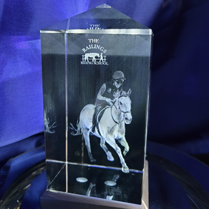 3D Portraits Ireland