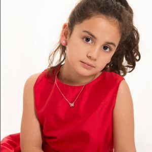 Sterling Butterfly Set