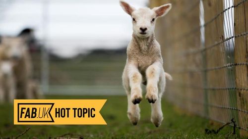 Harness event inspiration and spring into action