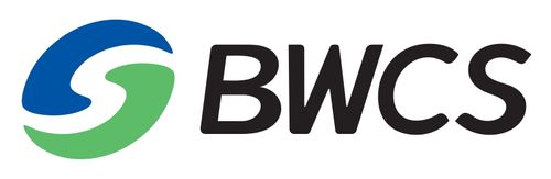 Baowu Winning Consortium Simandou
