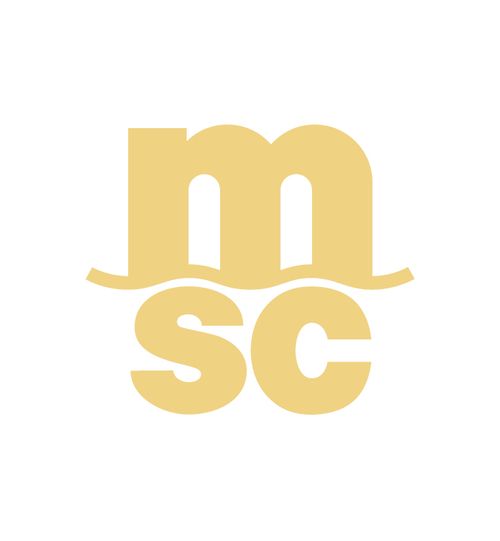 MSC Guin&eacute;e SAU