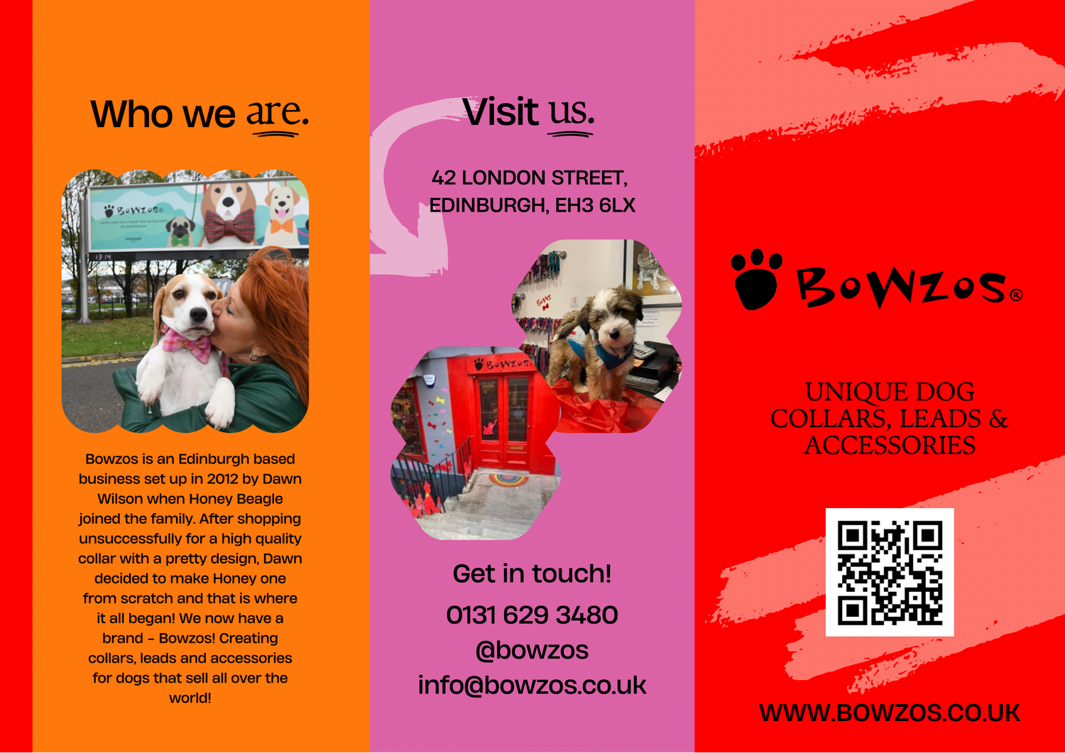 Bowzos dog collars top