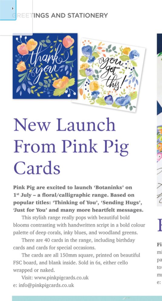 New Launch Pink Pig