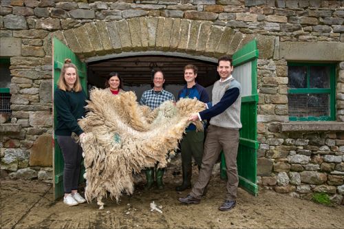 Glencroft launches unique Yorkshire Dales wool project with local farmers