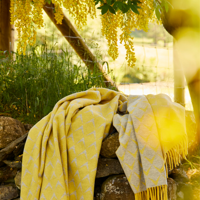 Merino Wool Blankets Scotland’s Trade Fair Autumn 2023