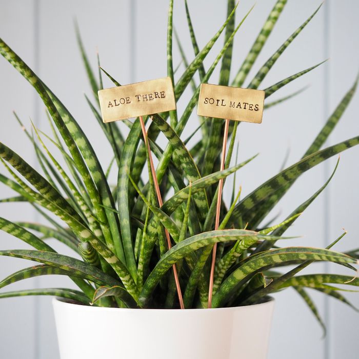 *NEW* Brass Plant Markers