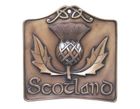 Scottish Thistle Bronze Wall Plaque