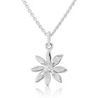 Glenna Allium Collection