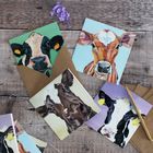 Cow Notecards