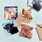 Cow Notecards