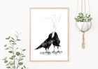Animals and birds