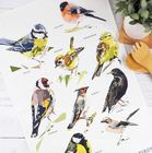 'Garden Birds' Collection