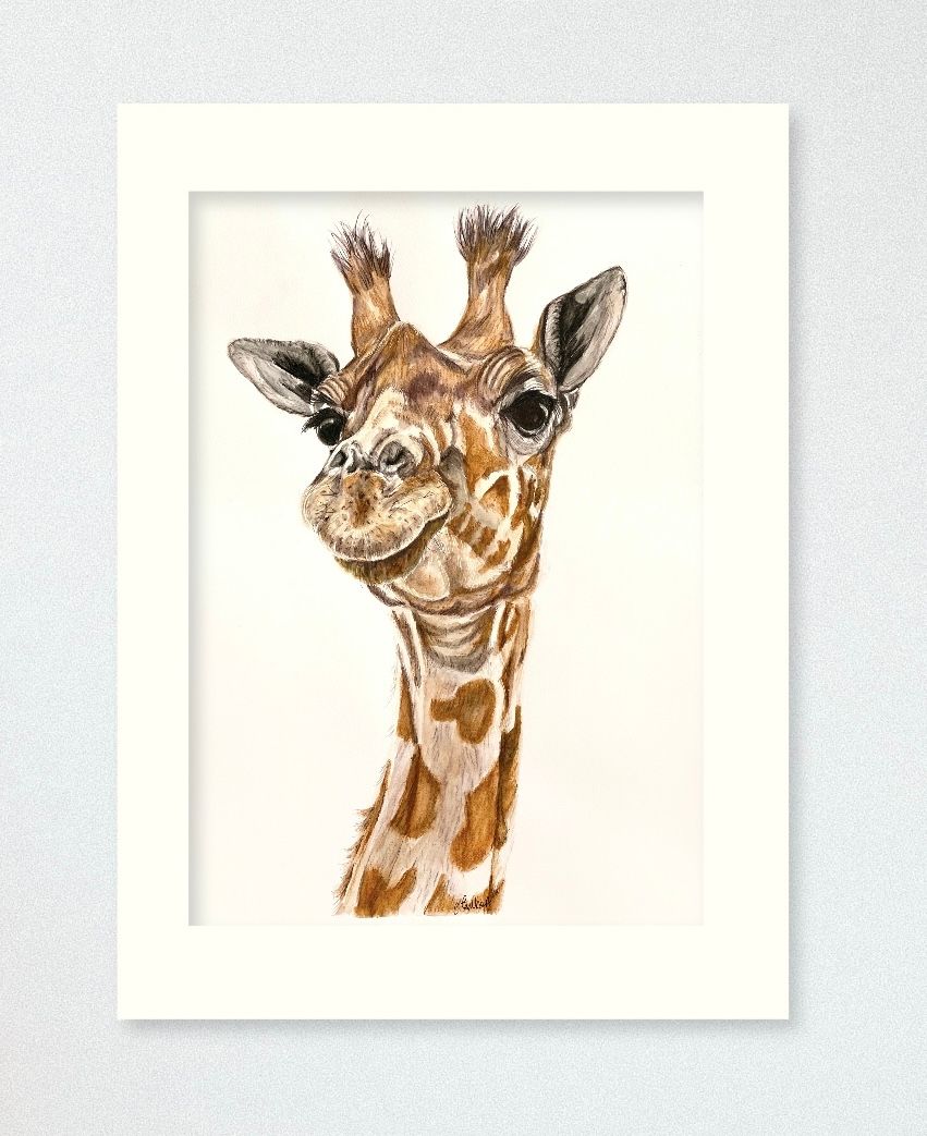 A3 and A4 mounted prints zoofari collection