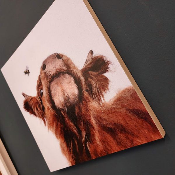 Wood Cradled Boards Scotland’s Trade Fair Autumn 2023