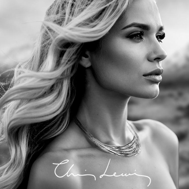 Exhibitor profile image for Chris Lewis Silver