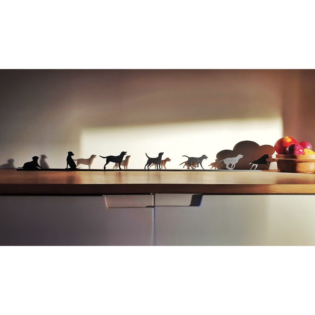 Shadow Shapes