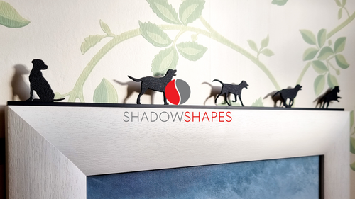 Shadow Shapes