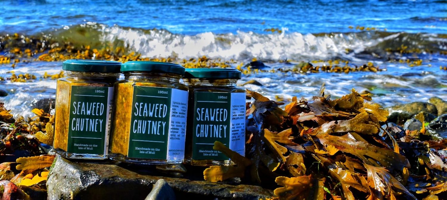 Isle of Mull Seaweed