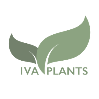 IVA Plants