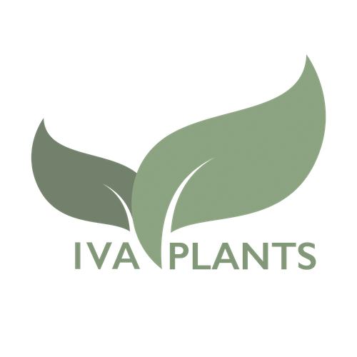IVA Plants