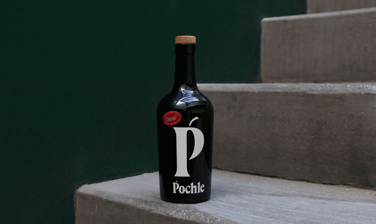 Pochle