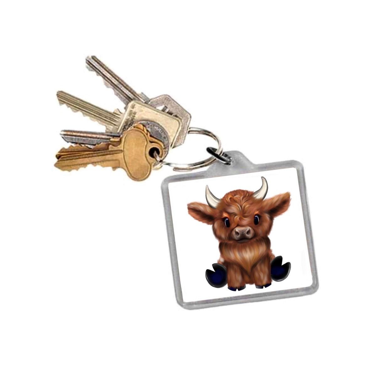 Keyrings