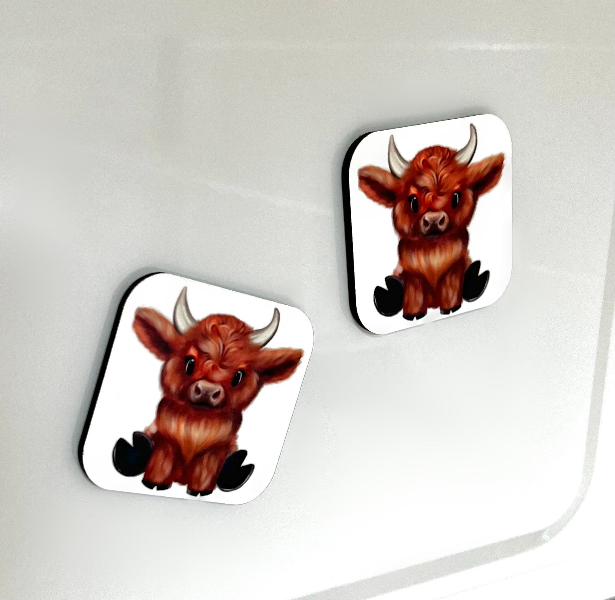 Fridge Magnets