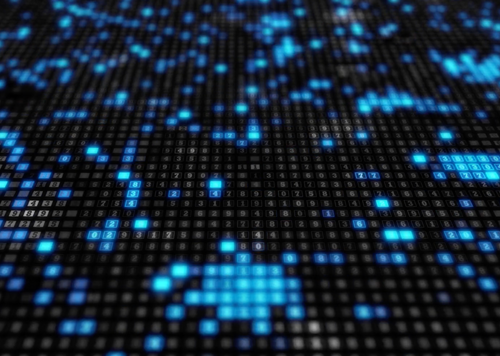 Website Building & SEO