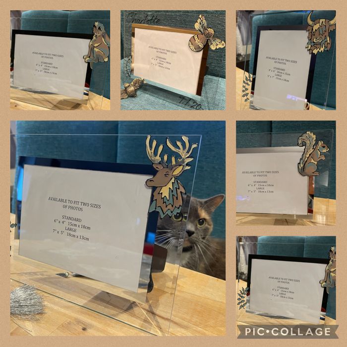 Wildlife Photo Frames and Wine Glasses