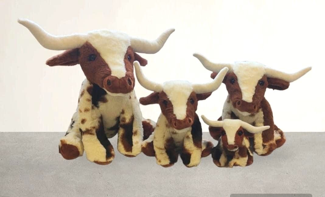 New Releases - Longhorn Cows