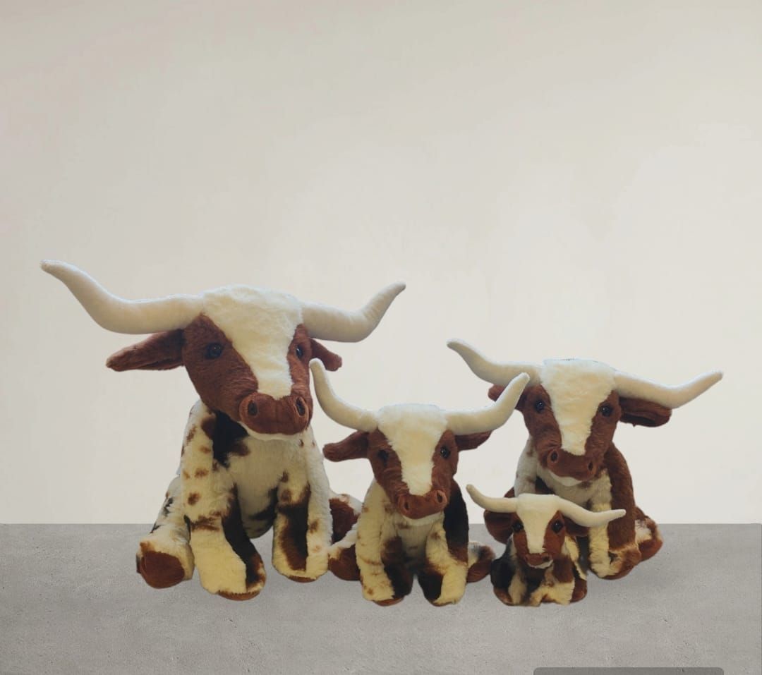 New Releases - Longhorn Cows