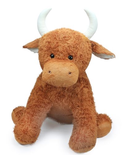 Top Selling Highland Cows