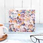Hebridean Shells 1000 Piece Jigsaw