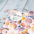 Hebridean Shells 1000 Piece Jigsaw