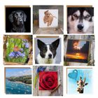 Greeting cards