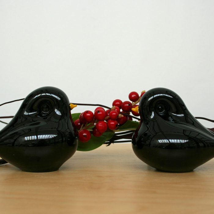 Blackbird