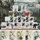 Mugs - Latte, Espresso and Medium sized ones too