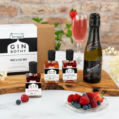 Fruit & Fizz Gin Gift Box