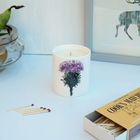 Amazing smelling Ceramic Candles